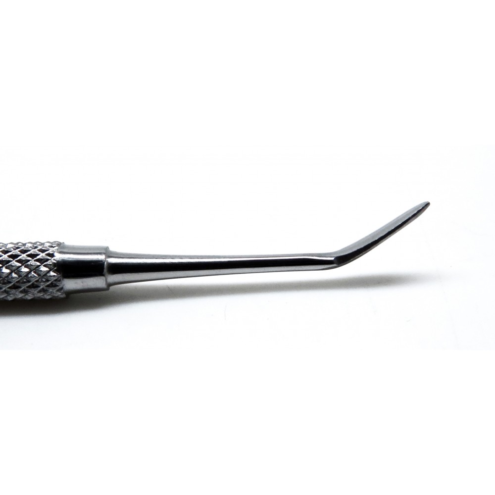 Dental Carvers Ward 2